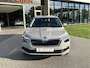 Skoda Kamiq 1.0 TSI Business Edition Trekh. I Carplay I Elek achterklep