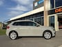 Skoda Kamiq 1.0 TSI Business Edition Trekh. I Carplay I Elek achterklep