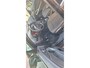 Opel Zafira Tourer 1.6 CDTI Business+ 7p.