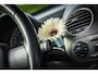 Volkswagen Beetle New Cabriolet 1.8-20V T Highline | Cabrio