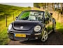 Volkswagen Beetle New Cabriolet 1.8-20V T Highline | Cabrio