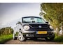 Volkswagen Beetle New Cabriolet 1.8-20V T Highline | Cabrio