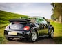 Volkswagen Beetle New Cabriolet 1.8-20V T Highline | Cabrio