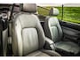Volkswagen Beetle New Cabriolet 1.8-20V T Highline | Cabrio