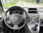 Fiat Panda 1.1 Active Plus (INRUILKOOPJE)
