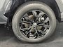 Toyota RAV4 2.5 Hybrid AWD Bi-Tone Clima Cruise Navigatie