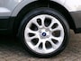 Ford EcoSport 1.0/125 pk Titanium NAV TEL PDC VRV LMV 17 INCH PRIVACY GLASS WINTERPAKKET