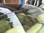 Jaguar X-Type 2.0 V6 Executive|Trekhaak|automaat|airco|