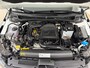 Volkswagen Polo Occasion 1.0 TSI Comfortline | Wit | Tweedehands Volkswagen polo | Cruisecontrol | Airco | Carplay audio