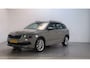 Skoda Kamiq 1.0 TSI 110pk DSG Business Edition Stoelverwarming Trekhaak Virtual Cockpit