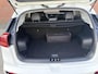 Kia Niro EV e-Niro DynamicPlusLine 64 kWh I Navigatie I Hoge Instap I Airco I