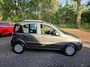 Fiat Panda 1.2 Edizione Cool | 2E EIGENAAR | 3/6 OF 12MND GARANTIE | AIRCO | ELEC RAMEN | NW APK |