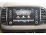 Skoda Karoq 1.5 TSI 150pk DSG Business Edition Plus -NW.MODEL-LED-ECC-