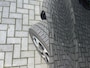 Fiat Scudo Bestel 2.0 MultiJet 180 L3 Dubbel cabine|Trekhaak|Camera|Navi|Carplay