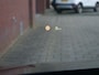 BMW X1 sDrive20i High Executive 192 Pk Automaat Navi / DAB / Camera / 18 inch