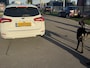 Ford Focus Wagon BWJ 2020 1.0 EcoBoost 124 PK Hybrid ST Line X Business