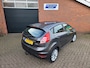 Ford Fiesta 1.0 EcoBoost Titanium 2016 / NIEUWE D-RIEM