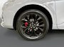 Ford Kuga 2.5 PHEV Graphite Tech Edition I Panoramadak I Elek. Trekhaak I Winterpakket I Camera I CarPlay I Head-Up I