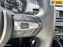 BMW X2 sDrive20i High Executive M-Sport PANO|LEDER|TREKHAAK