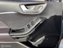 Ford Fiesta 1.0 EcoBoost Vignale Zeer nette auto !!