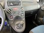 Fiat Panda 1.2 Edizione 65 DKM NW APK BJ 2010 !!!