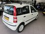Fiat Panda 1.2 Edizione 65 DKM NW APK BJ 2010 !!!