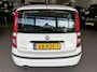 Fiat Panda 1.2 Edizione 65 DKM NW APK BJ 2010 !!!