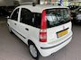 Fiat Panda 1.2 Edizione 65 DKM NW APK BJ 2010 !!!