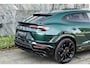 Lamborghini Urus 4.0 V8 S |Verde hydra|Carbon|BTW|