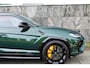 Lamborghini Urus 4.0 V8 S |Verde hydra|Carbon|BTW|