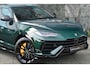 Lamborghini Urus 4.0 V8 S |Verde hydra|Carbon|BTW|