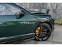Lamborghini Urus 4.0 V8 S |Verde hydra|Carbon|BTW|