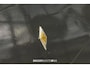 Renault Overige Monaquatre -
