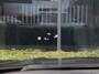 BMW X5 XDrive40e iPerformance M Sport Edition|HUD|Dealer Ond.