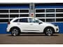 Kia Niro EV E-Niro DynamicPlusLine 39 kWh