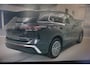 Volkswagen Tiguan 1.5 eTSI 150pk DSG-7 Elegance Navigatie IQ.Licht El.achterklep 360camera