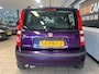 Fiat Panda 1.2 Edizione Cool | NW APK | Cruise | Distri. V.V