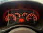 Fiat Panda 1.2 Edizione Cool | NW APK | Cruise | Distri. V.V