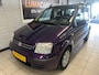 Fiat Panda 1.2 Edizione Cool | NW APK | Cruise | Distri. V.V