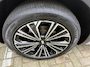 Geely Starray EM-i 1.5 MAX+