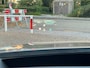 Citroën C5 X 1.6 Plug-in Hybrid 225 Shine Navi-Camera-Leder