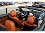 BMW 4-Serie Cabrio 430i High Executive | Harman/Kardon | Head up | Driving Assistant | Luxe Leder | Memory | Nekverwarming | LED