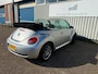 Volkswagen Beetle New Cabriolet 1.6 Trendline Elektrische kap