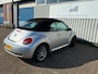 Volkswagen Beetle New Cabriolet 1.6 Trendline Elektrische kap