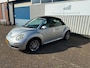 Volkswagen Beetle New Cabriolet 1.6 Trendline Elektrische kap