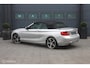BMW 2-Serie Cabrio 220i Sport|Bi-Xenon|LEDER|PDC|AUT|NAP