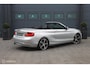 BMW 2-Serie Cabrio 220i Sport|Bi-Xenon|LEDER|PDC|AUT|NAP