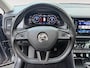 Skoda Kodiaq 1.5 TSI Business Edition DEALER ONDERHOUDEN | PANORAMADAK | TREKHAAK | ELEKTRISCHE ACHTERKLEP | AUTOMAAT | 12 MAANDEN BOVAG GARANTIE