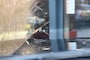 Toyota Land Cruiser 2.8 D-4D 5DRS PROFESSIONAL PANODAK  A/T VAN