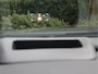Opel Insignia Sports Tourer 1.5 Turbo Innovation Leder, sportstoelen, pano, trekhaak